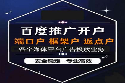 竞价端口开户后的广告投放策略案例